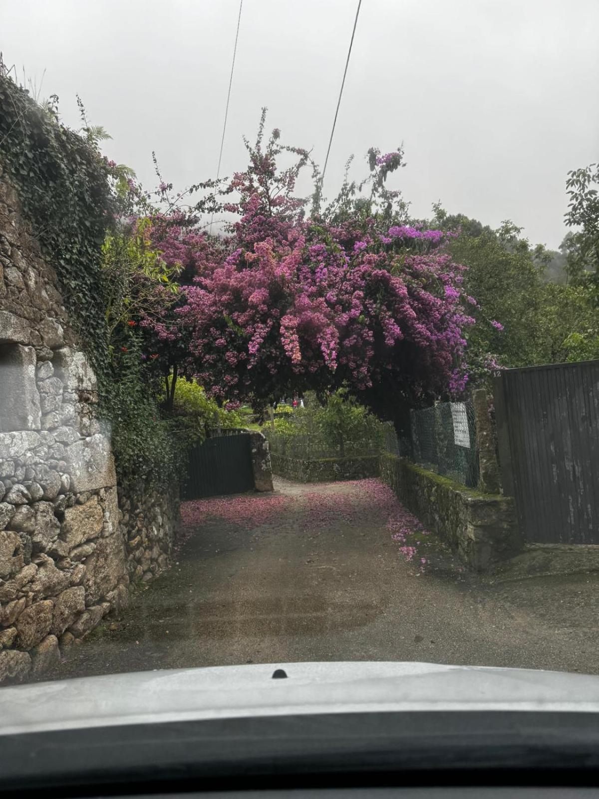 Alojamiento Casa Carlota Villadesuso 외부 사진